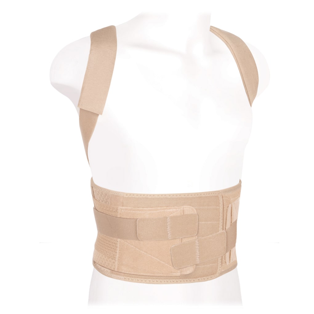Ortopedik korset (reklinator) kattalar uchun mustahkamlangan kk-02 КК-02