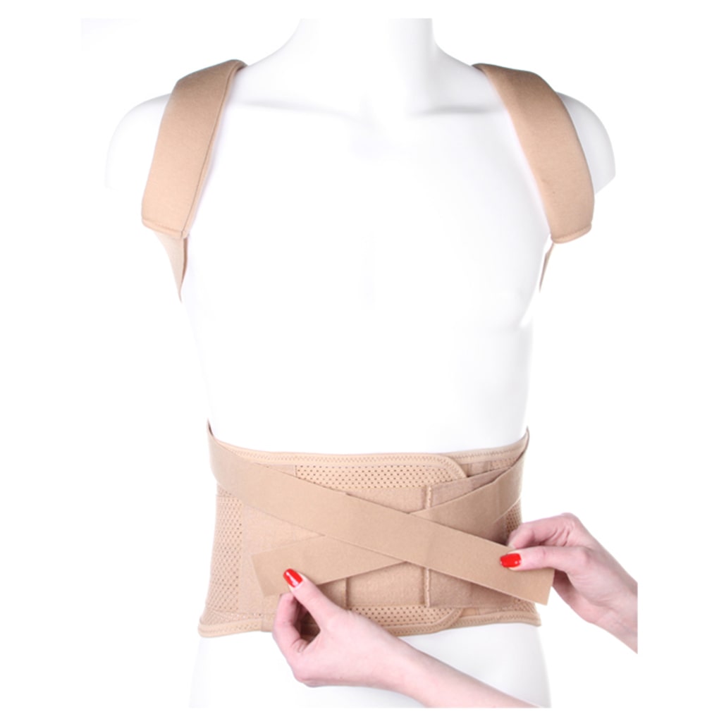Ortopedik korset (reklinator) kattalar uchun mustahkamlangan kk-02 КК-02