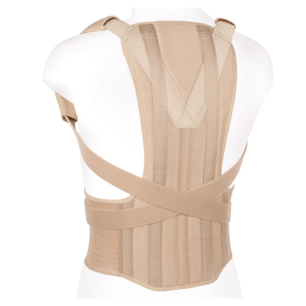Kattalar uchun ortopedik korset (reklinator) КК-01