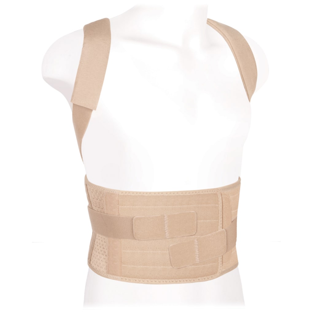 Kattalar uchun ortopedik korset (reklinator) КК-01