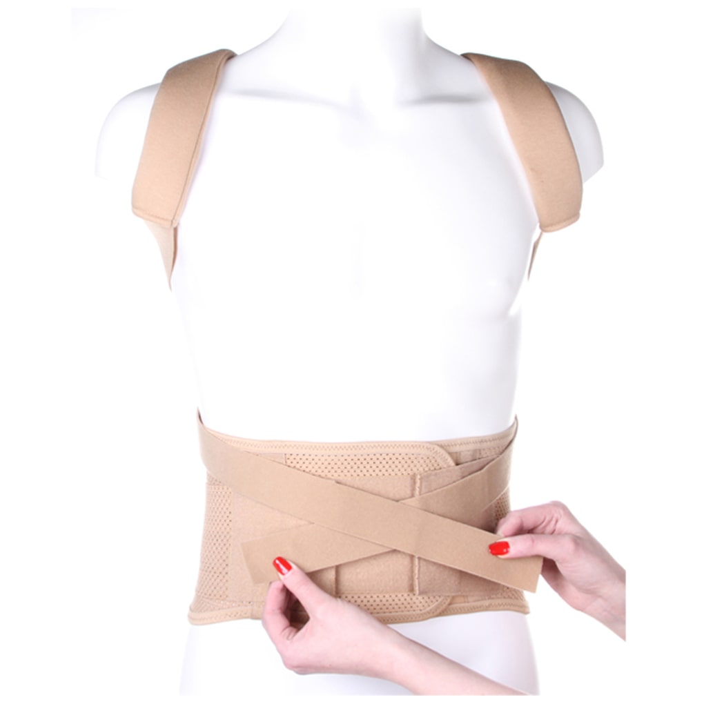 Kattalar uchun ortopedik korset (reklinator) КК-01